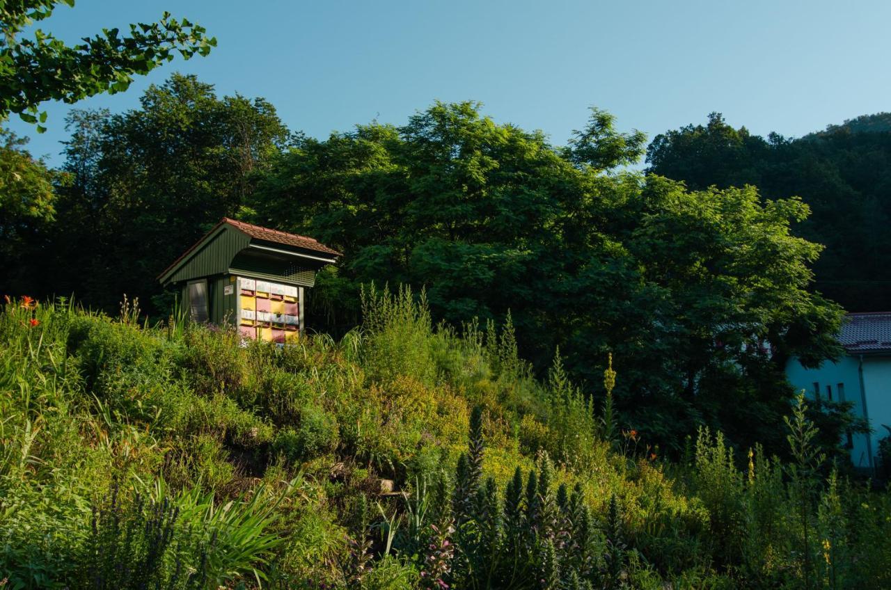 Apartments With Private Saunas & Wellness Gobi ポドチェトルテク エクステリア 写真