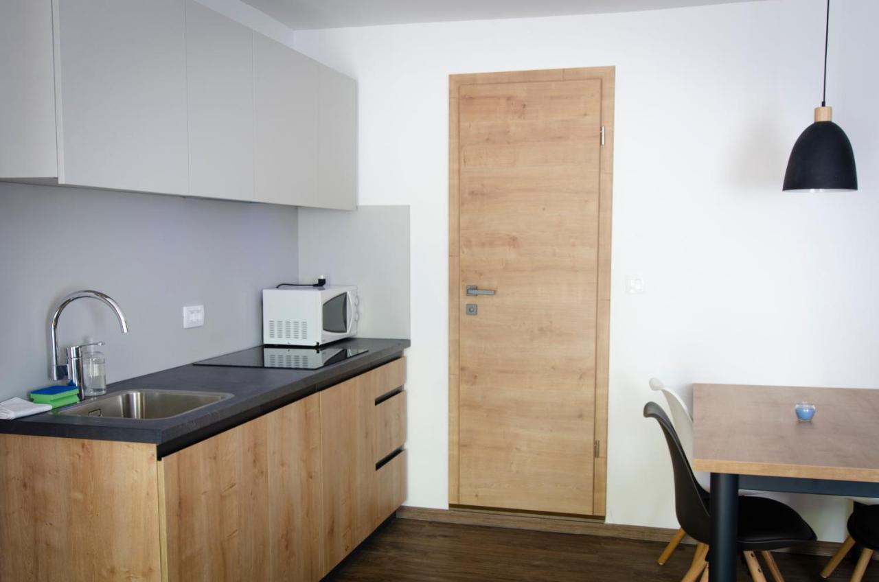 Apartments With Private Saunas & Wellness Gobi ポドチェトルテク エクステリア 写真