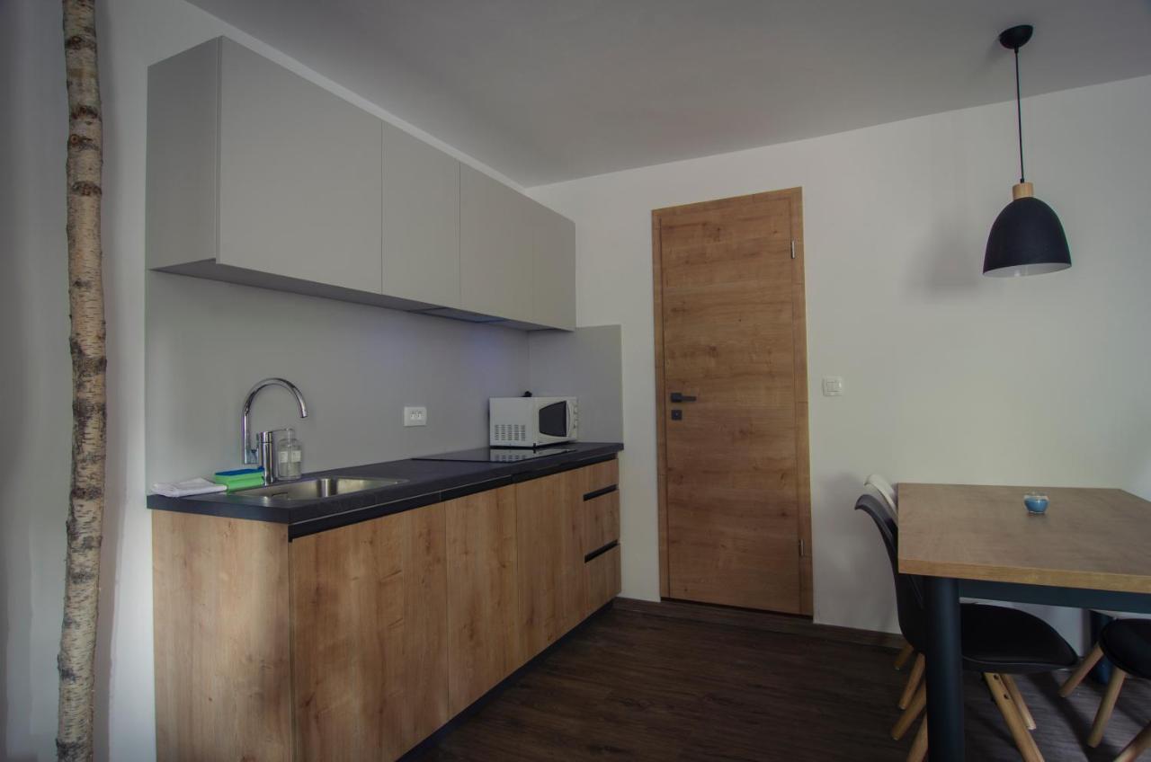 Apartments With Private Saunas & Wellness Gobi ポドチェトルテク エクステリア 写真