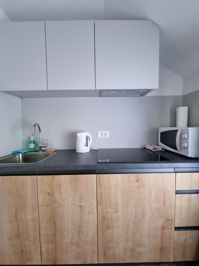 Apartments With Private Saunas & Wellness Gobi ポドチェトルテク エクステリア 写真